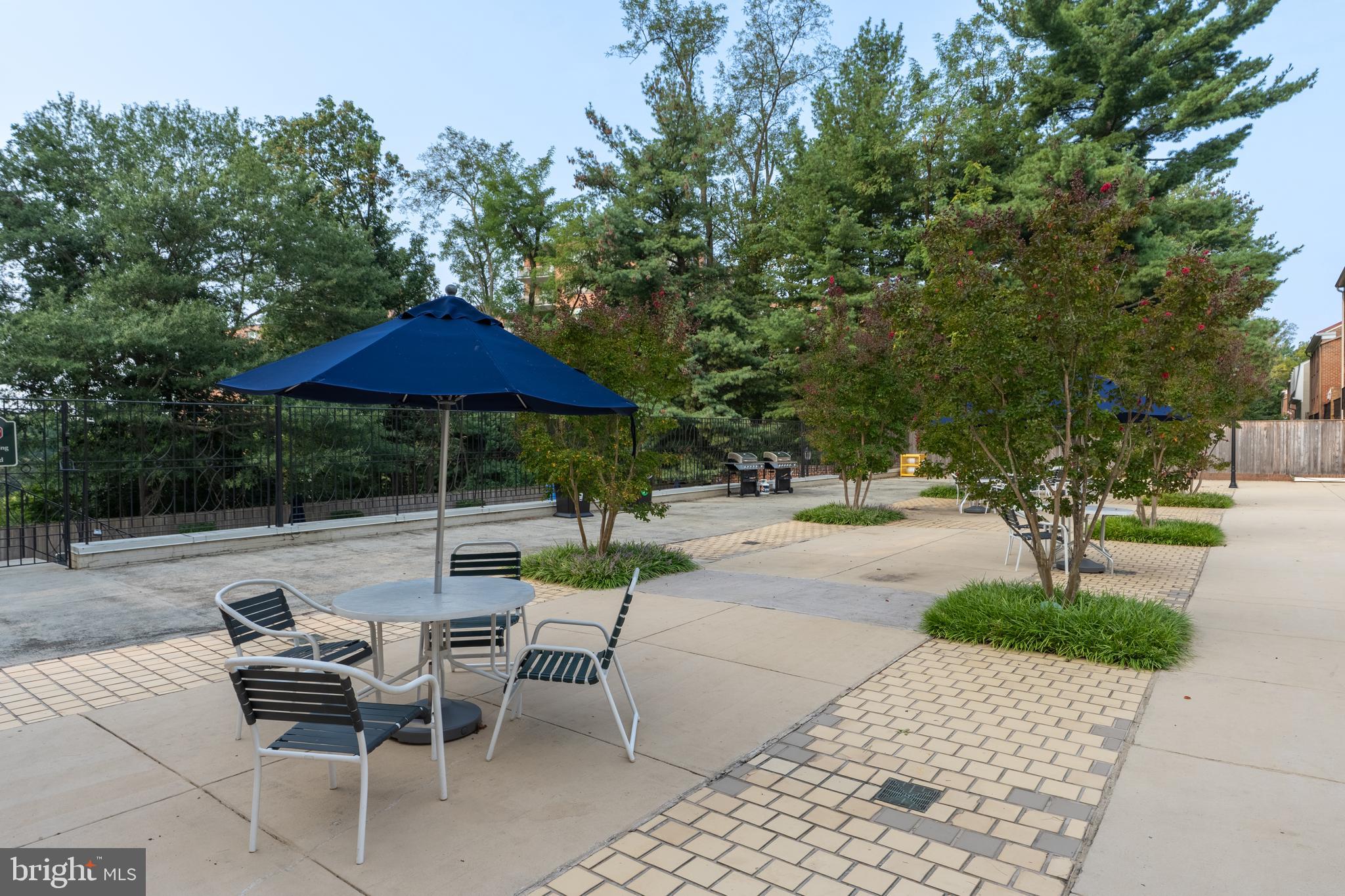 3299 Sutton Place Northwest, Unit C Washington, DC 20016 - Photo 34 of 40 a view of backyard with outdoor seating and trees