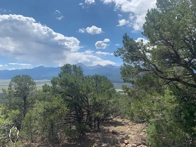 a view of a city with lush green forest