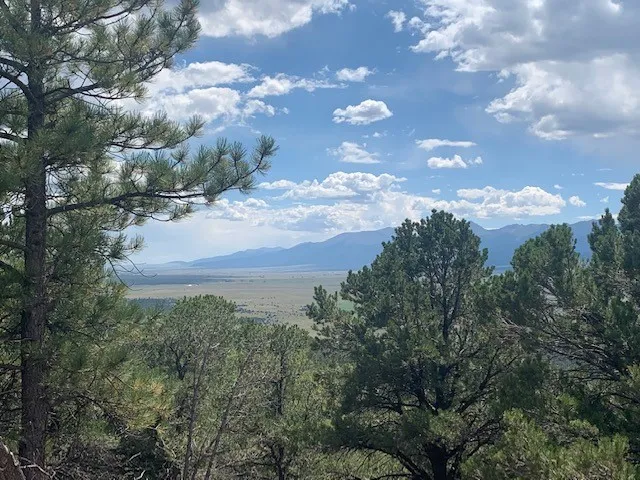 a view of a lake with a yard