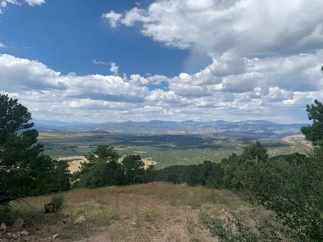 a view of a city with lots of trees