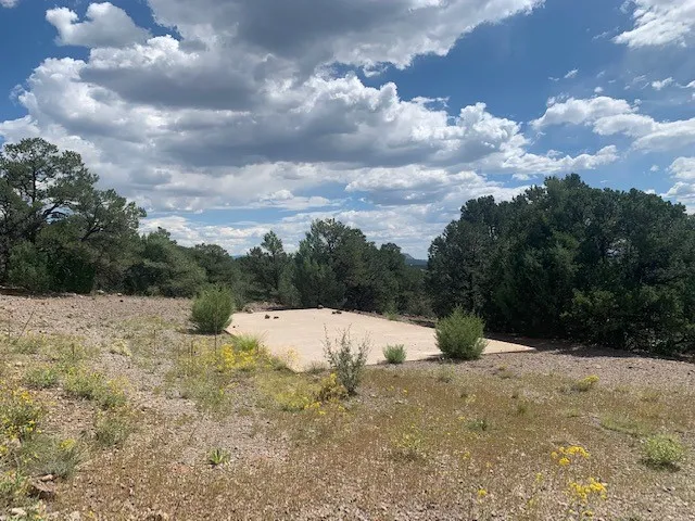 a view of a dry yard covered with snow