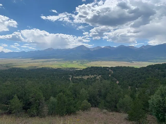 a view of an outdoor and trees