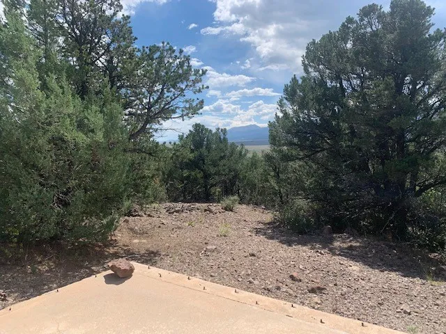 a view of a yard with a tree