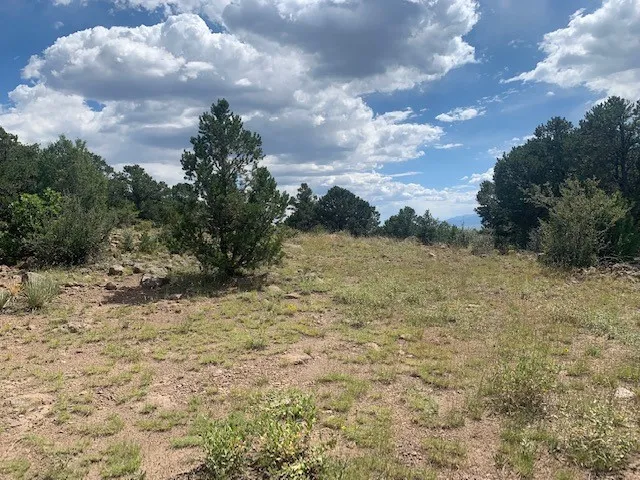 a view of a lake with lots of trees