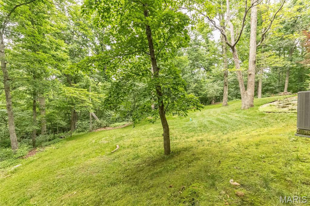 7 Walnut Ridge Court Defiance, MO 63341 - Photo 54 of 70