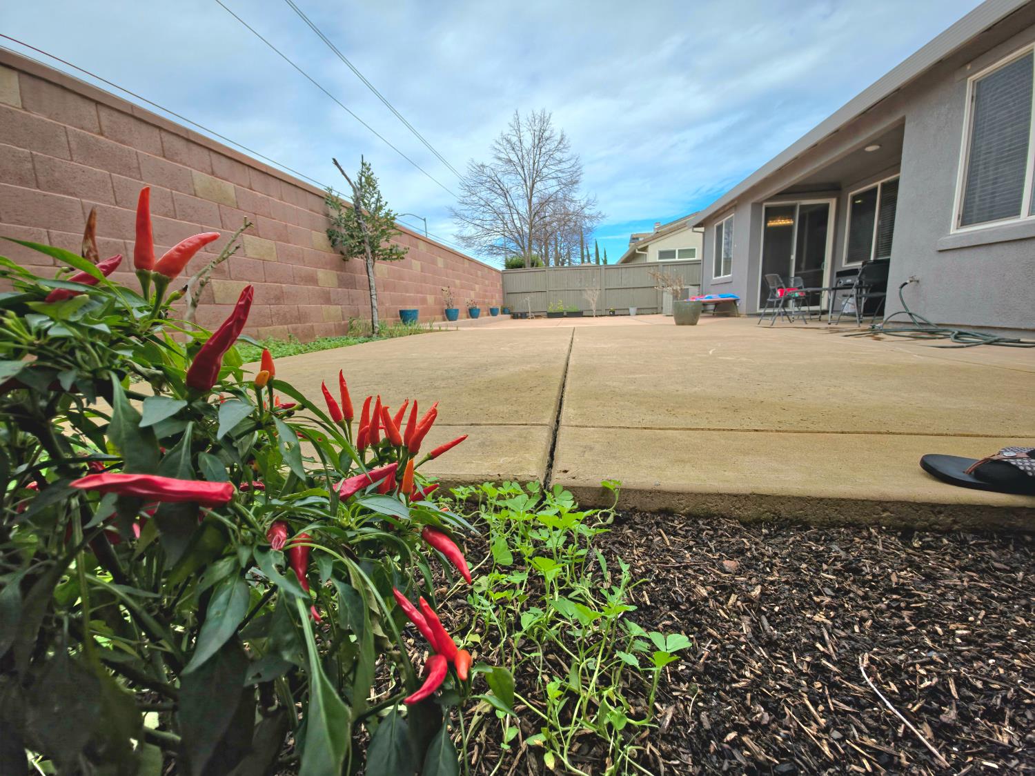 11724 Brook Valley Way Rancho Cordova, CA 95742 - Photo 10 of 32 a picture of flowers