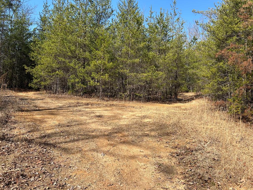 18 Sam Dye Road Young Harris, GA 30582 - Photo 1 of 3 Main View