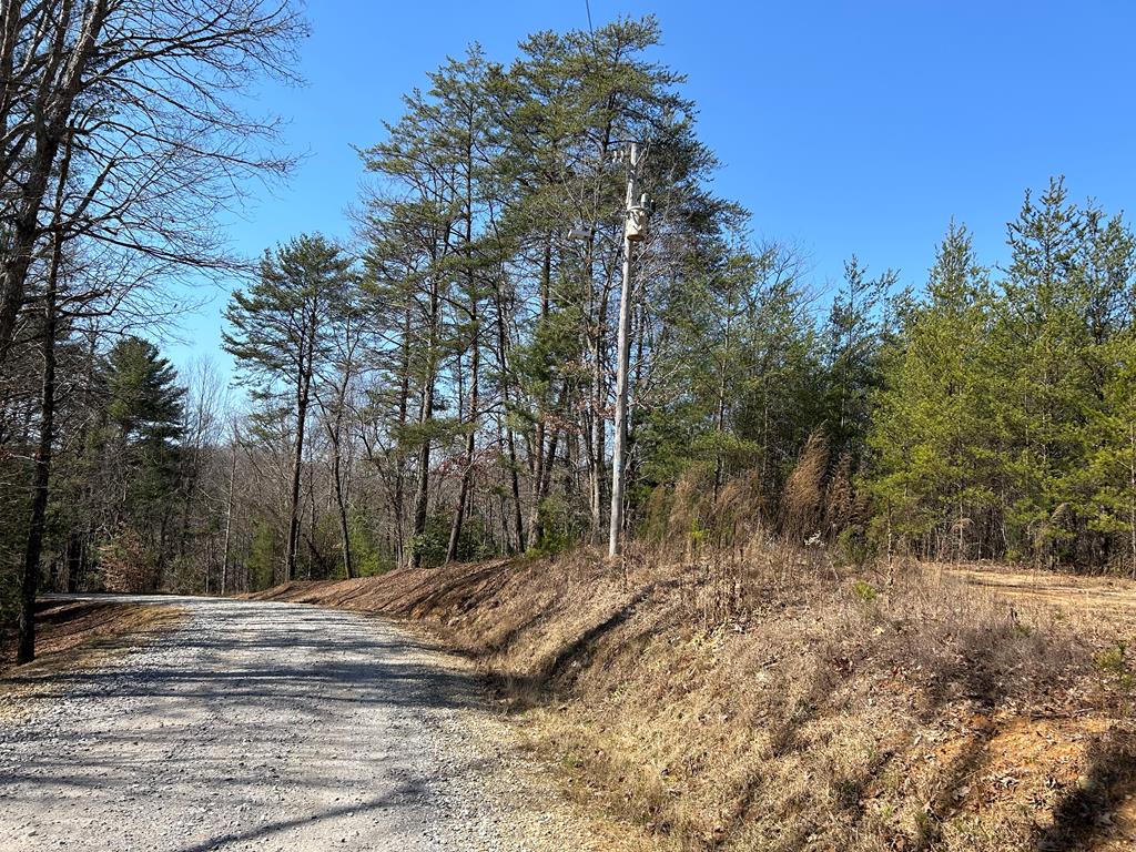 18 Sam Dye Road Young Harris, GA 30582 - Photo 3 of 3 Gallery Image 3