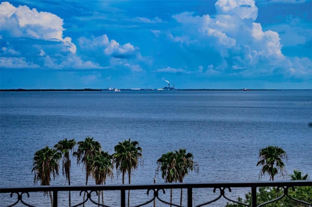 2109 Bayshore Boulevard, Unit 701 Tampa, FL 33606 - Photo 1 of 1 a view of a flower