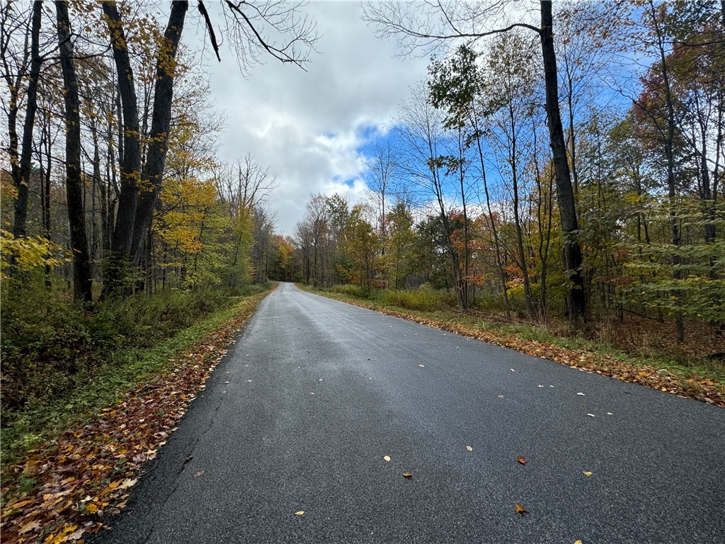 0 Town Line Road Unadilla, NY 13849 - Photo 11 of 15