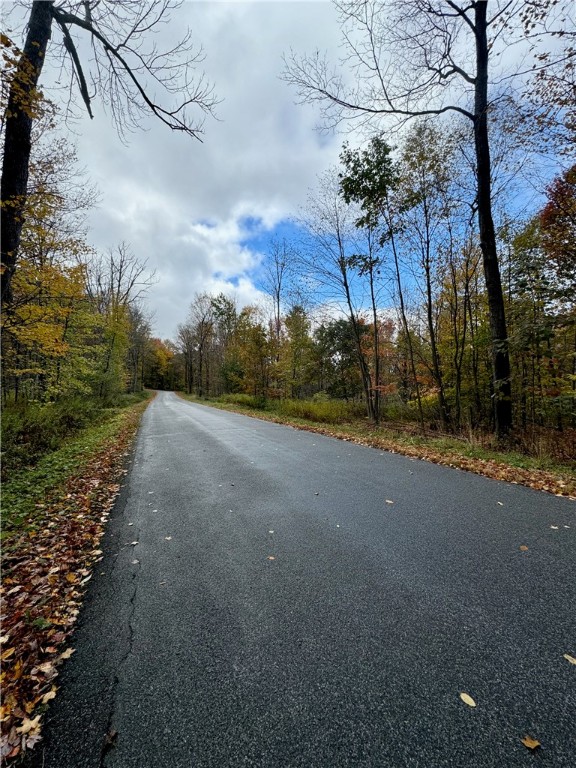 0 Town Line Road Unadilla, NY 13849 - Photo 12 of 15