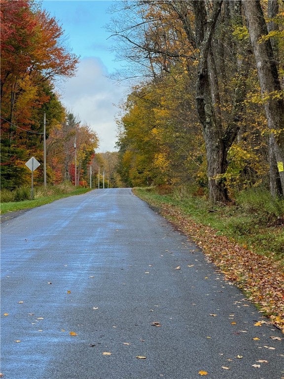 0 Town Line Road Unadilla, NY 13849 - Photo 13 of 15