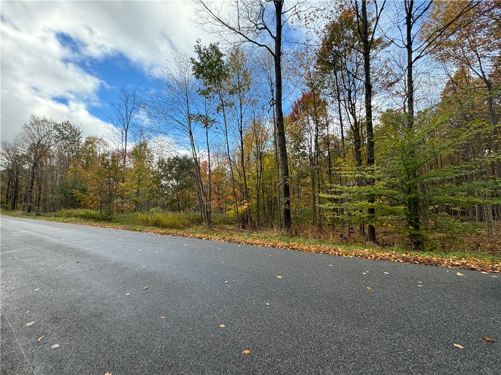 0 Town Line Road Unadilla, NY 13849 - Photo 14 of 15