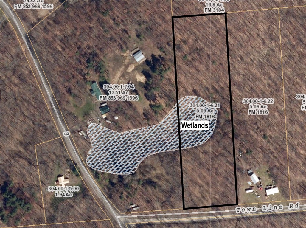 0 Town Line Road Unadilla, NY 13849 - Photo 15 of 15 Shows wetlands