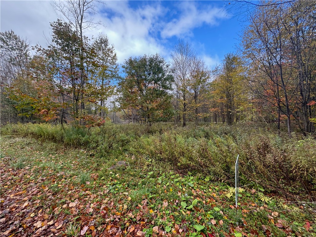 0 Town Line Road Unadilla, NY 13849 - Photo 4 of 15