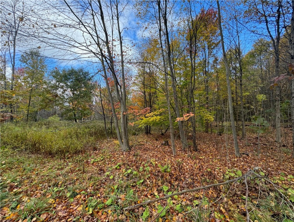 0 Town Line Road Unadilla, NY 13849 - Photo 5 of 15