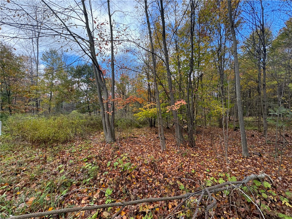 0 Town Line Road Unadilla, NY 13849 - Photo 6 of 15