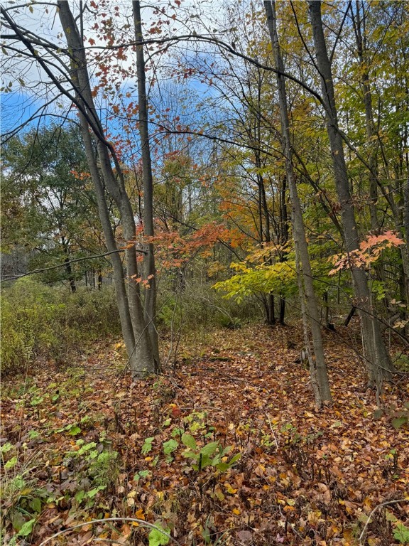 0 Town Line Road Unadilla, NY 13849 - Photo 7 of 15