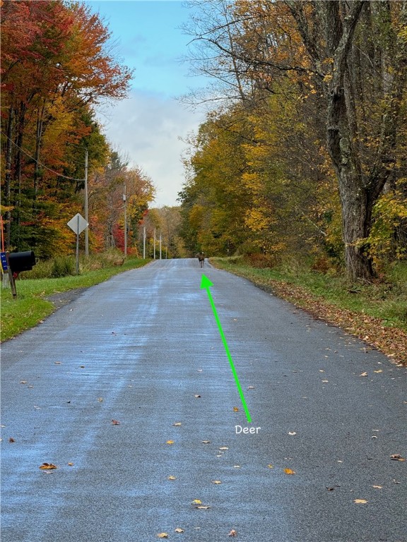 0 Town Line Road Unadilla, NY 13849 - Photo 8 of 15