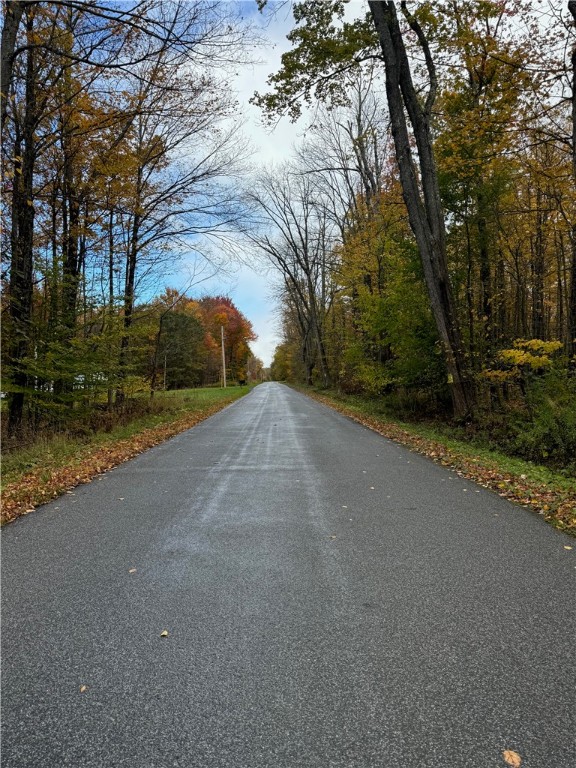 0 Town Line Road Unadilla, NY 13849 - Photo 9 of 15