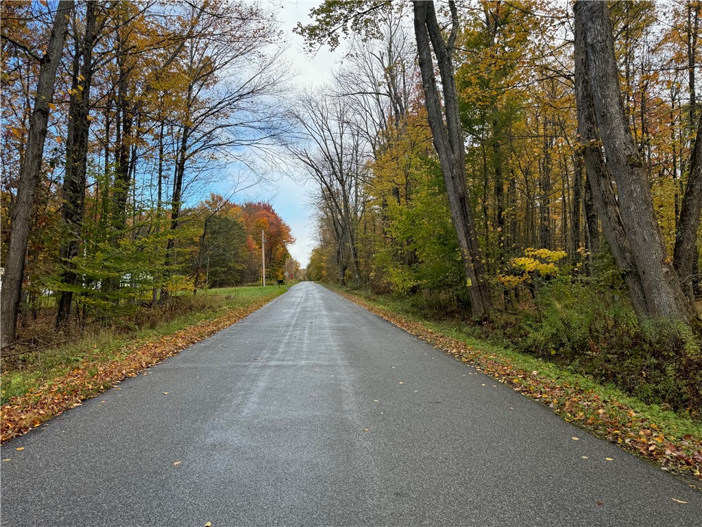 0 Town Line Road Unadilla, NY 13849 - Photo 10 of 15