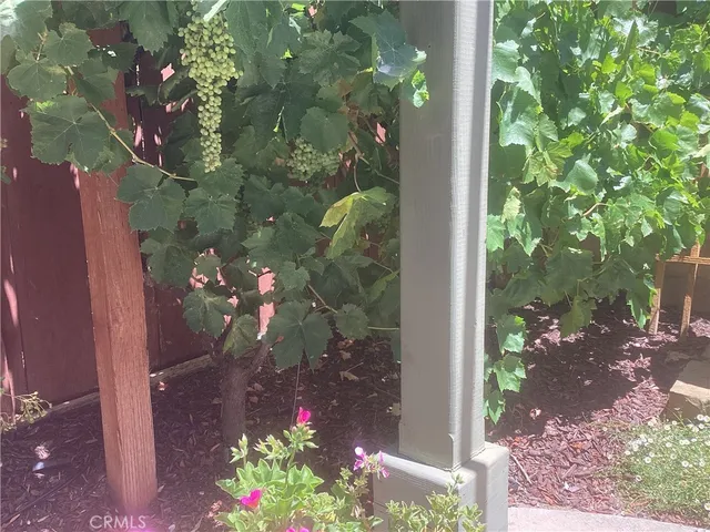 front view of a house