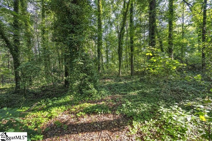 240 Geddis Road Inman, SC 29349 - Photo 20 of 24