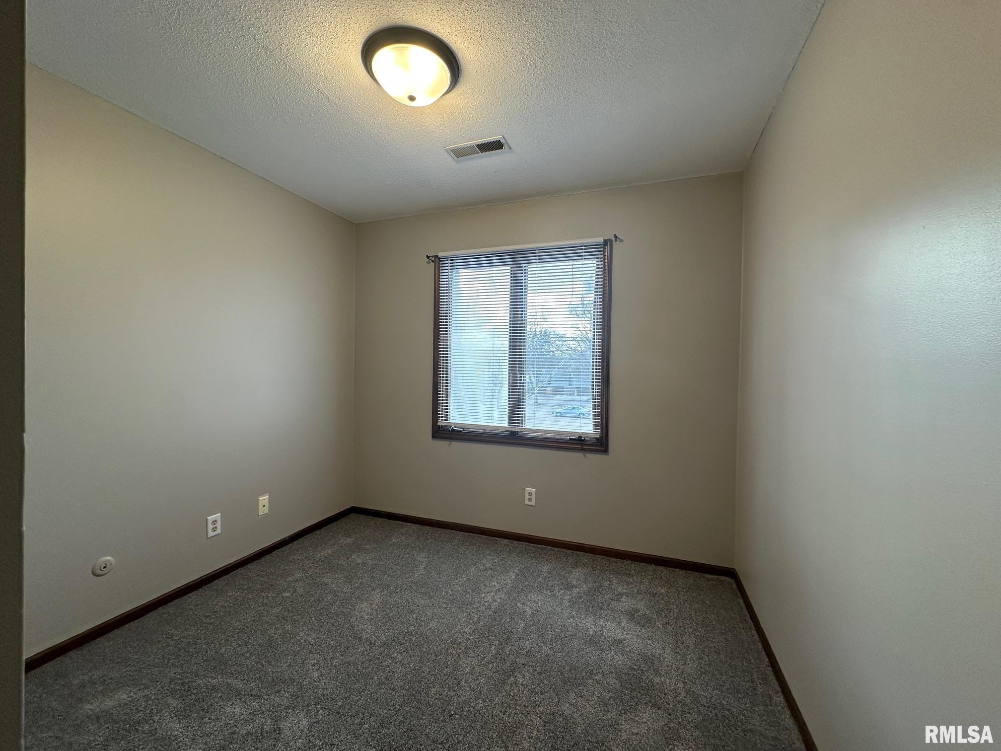 1001 South 1st Street, Unit 6 Springfield, IL 62704 - Photo 8 of 11
