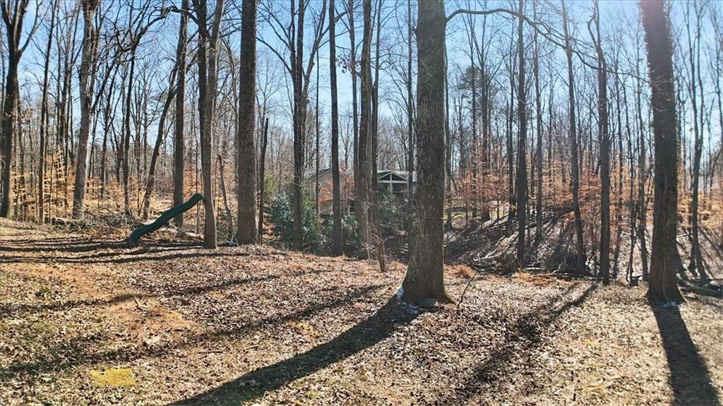 1468 Trinity Church Road Canton, GA 30115 - Photo 39 of 43