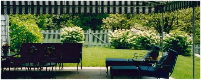 1062 Ponus Ridge Road New Canaan, CT 06840 - Photo 28 of 31 a view of a chairs and table in the back yard
