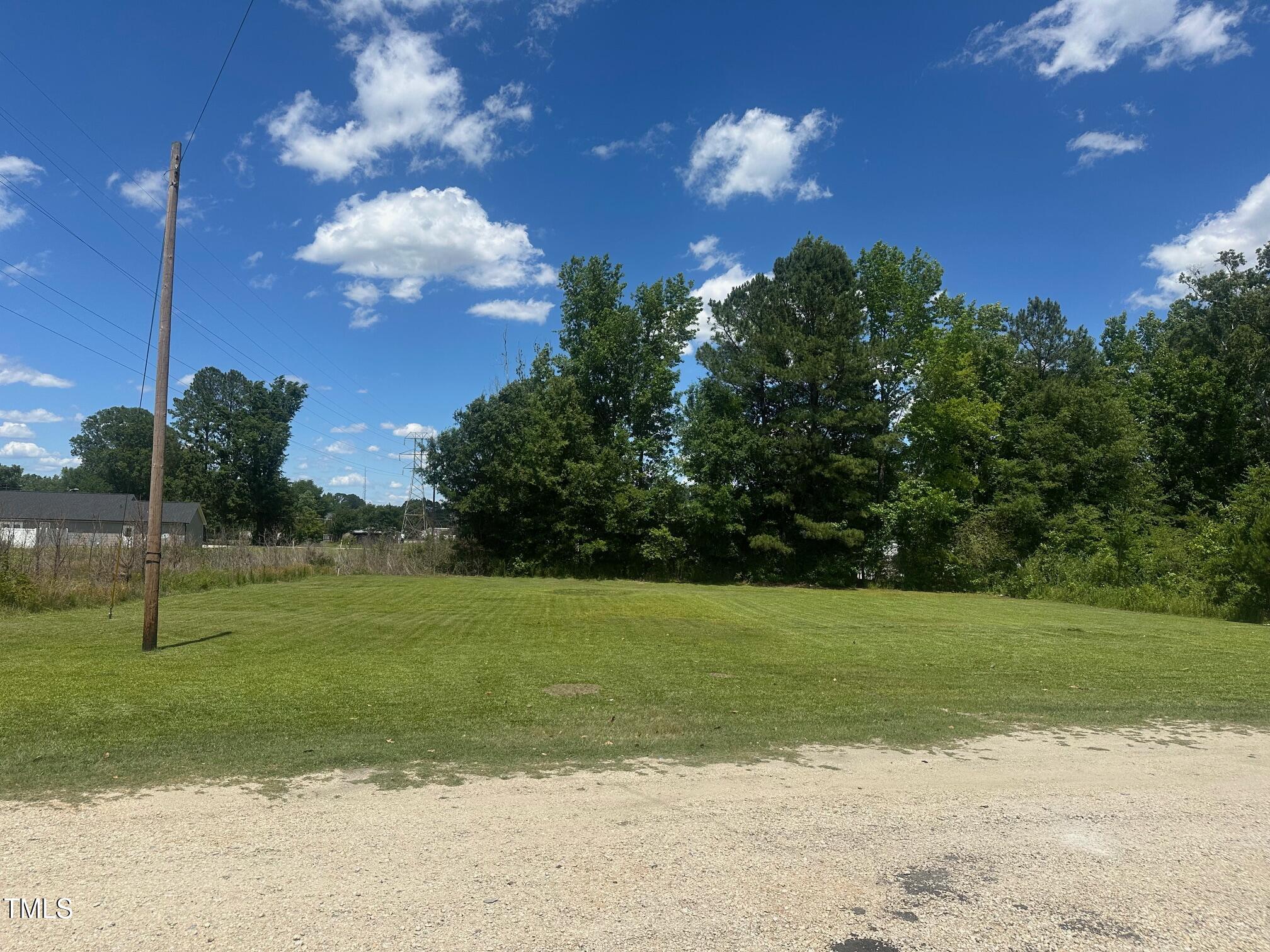 0 Denim Drive Erwin, NC 28339 - Photo 3 of 4 a view of a golf course with a garden