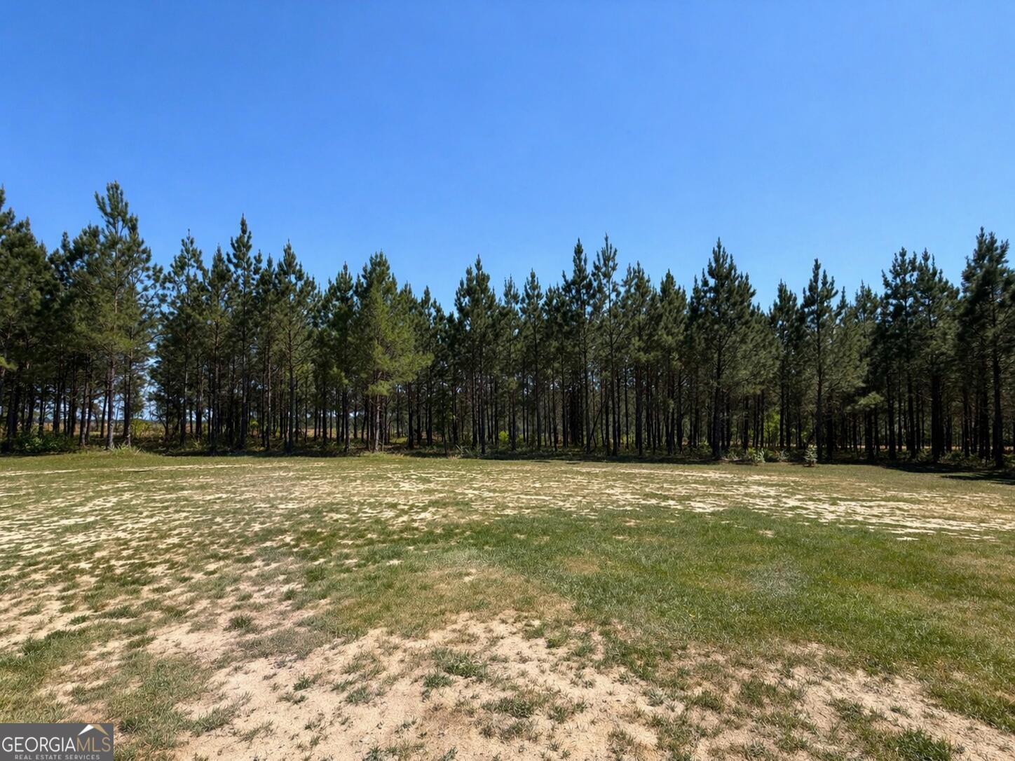 210 St Galilee Road Swainsboro, GA 30401 - Photo 16 of 18 a view of a field with trees in the background
