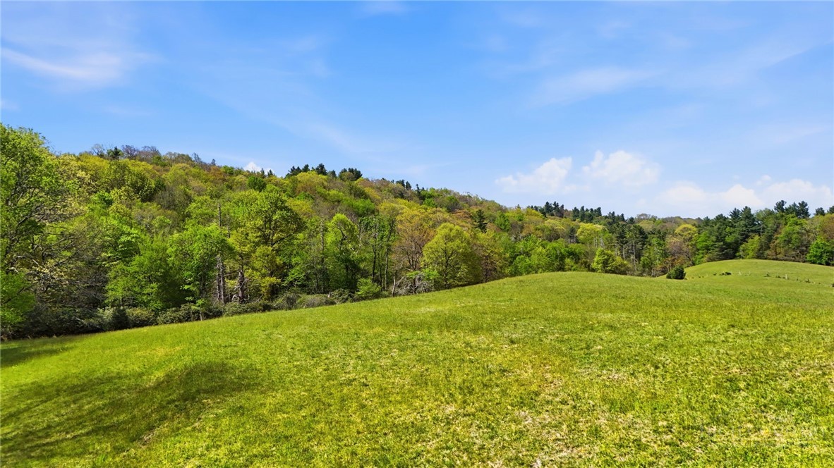 Sampson Road Boone, NC 28607 - Photo 4 of 13