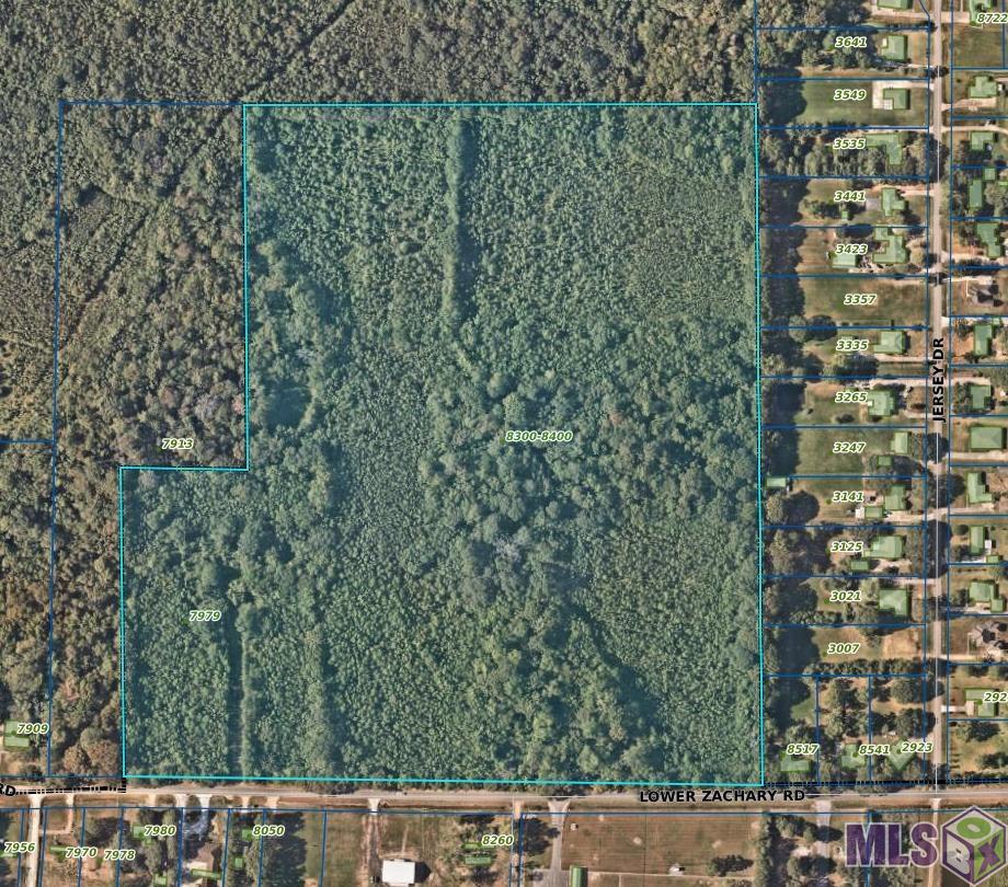 7979 Lower Zachary Road Zachary, LA 70791 - Photo 2 of 3