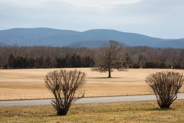 3047 Scenic Road Elkton, VA 22827 - Photo 21 of 25 Gallery Image 21