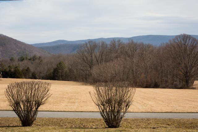 3047 Scenic Road Elkton, VA 22827 - Photo 22 of 25 Gallery Image 22