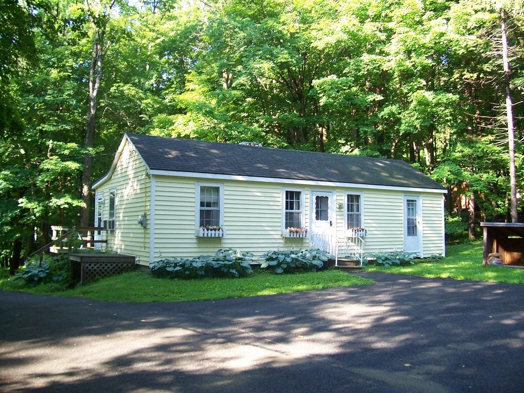 a front view of house with yard and green space