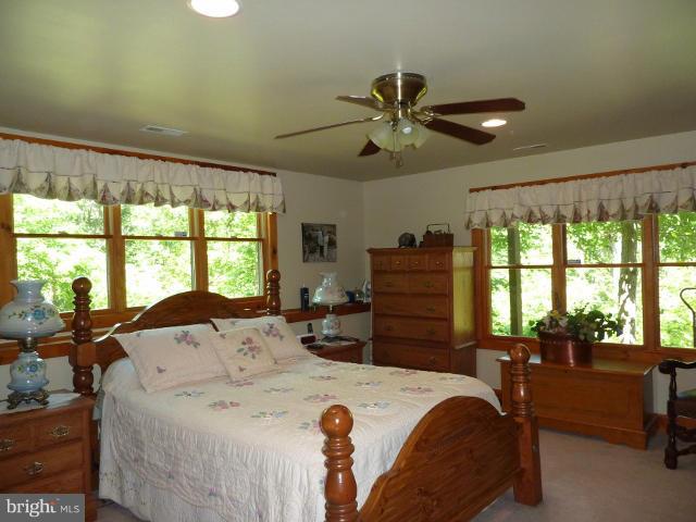 265 Riding Chapel Road Stephens City, VA 22655 - Photo 14 of 24 Bedroom (Master)