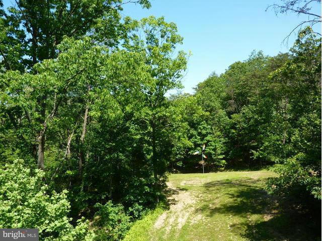 265 Riding Chapel Road Stephens City, VA 22655 - Photo 21 of 24 View from Deck