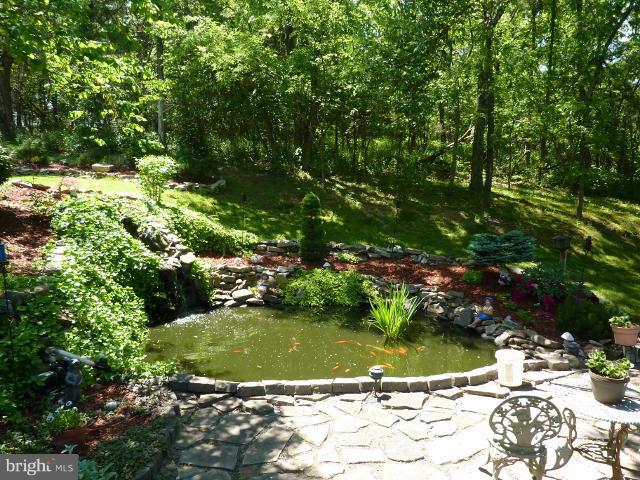 265 Riding Chapel Road Stephens City, VA 22655 - Photo 22 of 24 Koi Pond