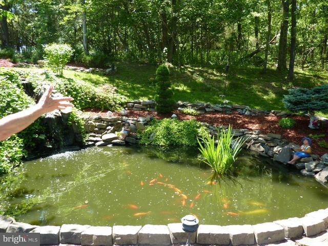 265 Riding Chapel Road Stephens City, VA 22655 - Photo 23 of 24 Koi Pond