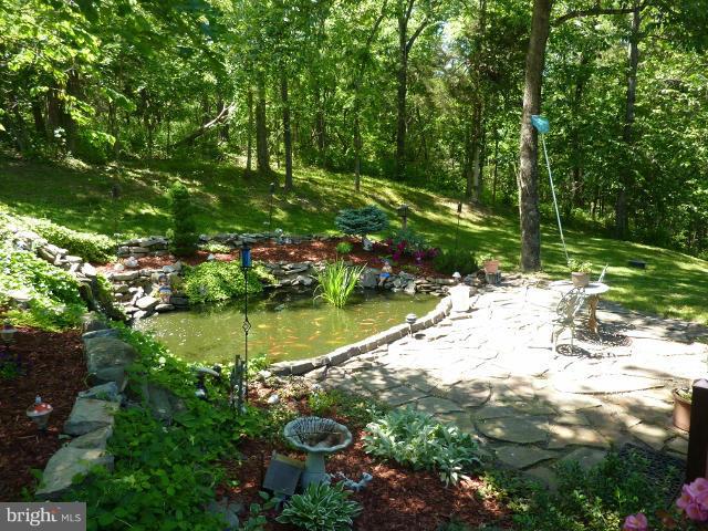 265 Riding Chapel Road Stephens City, VA 22655 - Photo 24 of 24 View from Front Porch