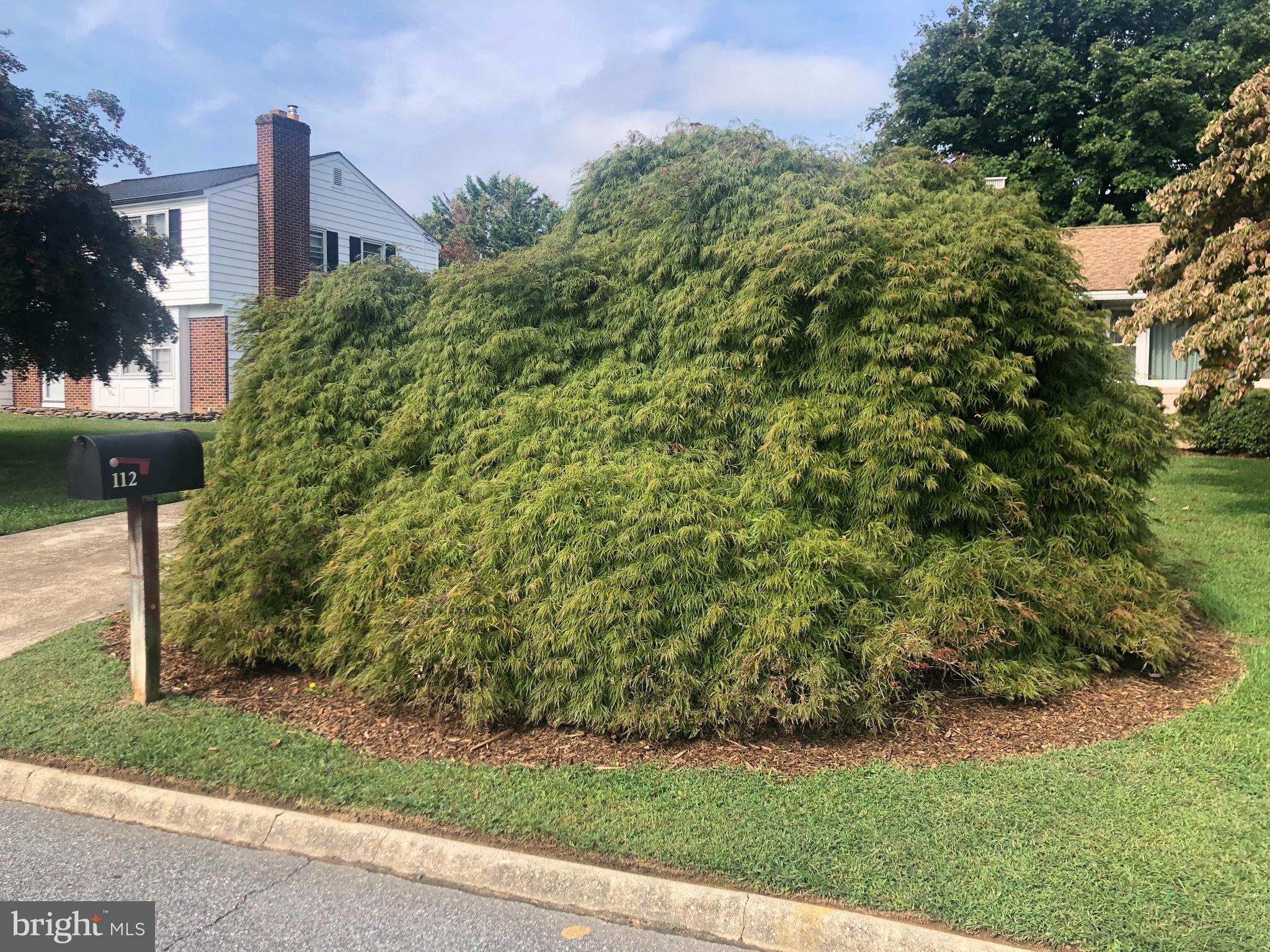 112 Lexington Road Bel Air, MD 21014 - Photo 33 of 39 50+ Year Old Japanese Maple!