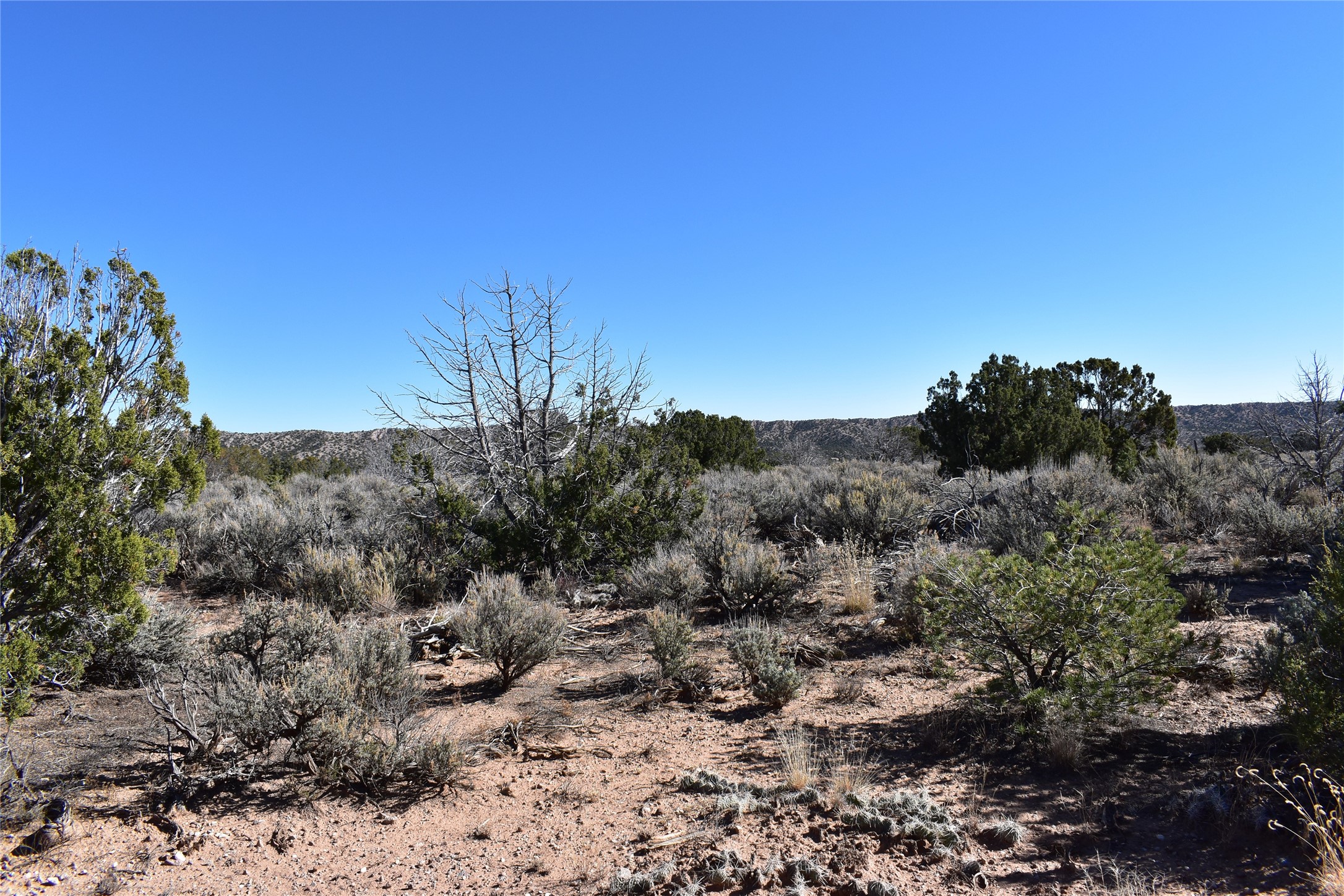 1684 A El Rito, NM 87530 - Photo 6 of 8