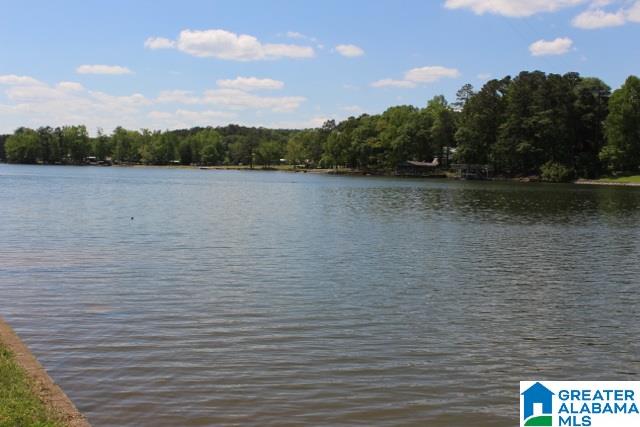 520 Rabbit Point Road Cropwell, AL 35054 - Photo 5 of 38