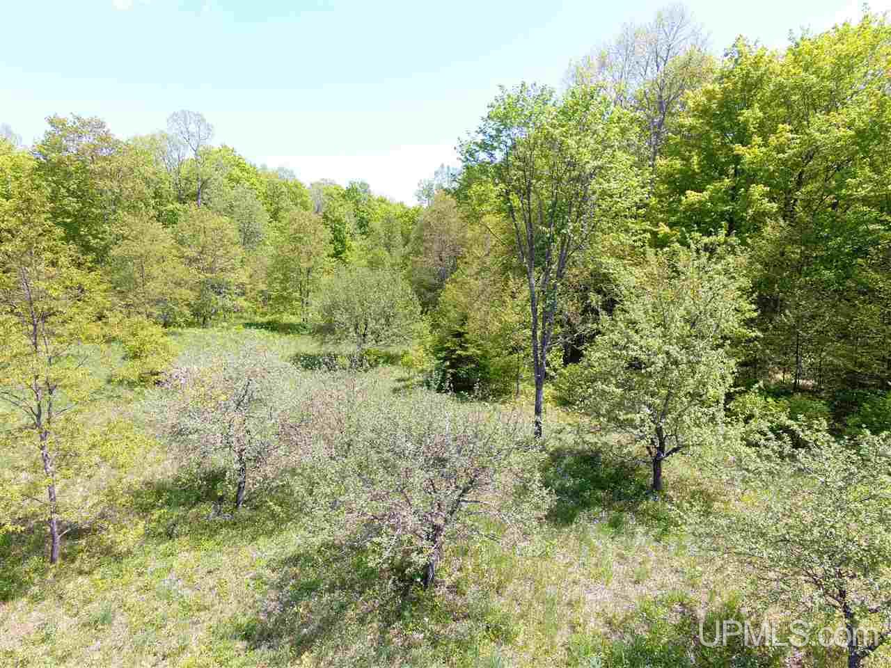 Tbd Tbd Akkala Road Eben Junction, MI 49825 - Photo 7 of 12