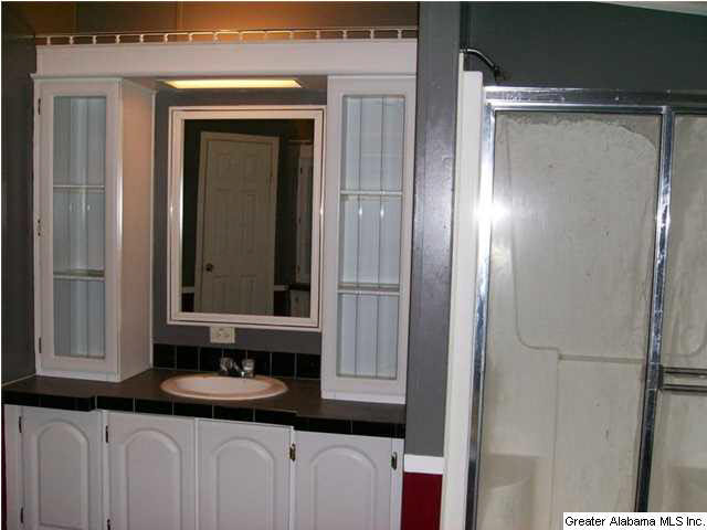 1250 County Road 152 Jemison, AL 35085 - Photo 18 of 22