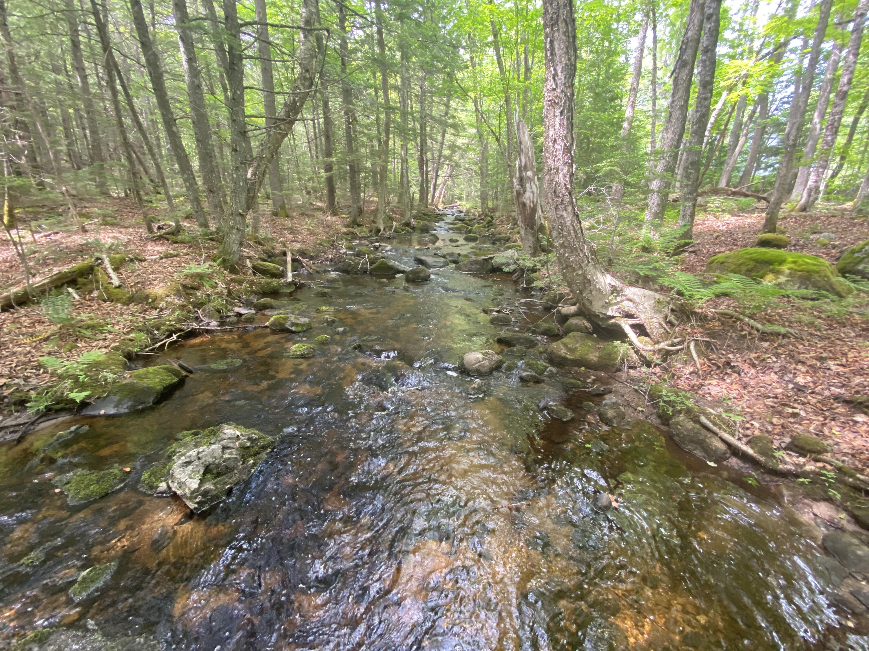 783 Half Township Road Lincoln, ME 04457 - Photo 20 of 24 IMG_20