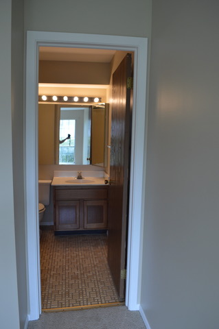 158 West Golf Road, Unit A Libertyville, IL 60048 - Photo 8 of 22