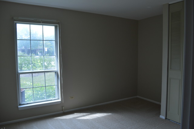 158 West Golf Road, Unit A Libertyville, IL 60048 - Photo 9 of 22